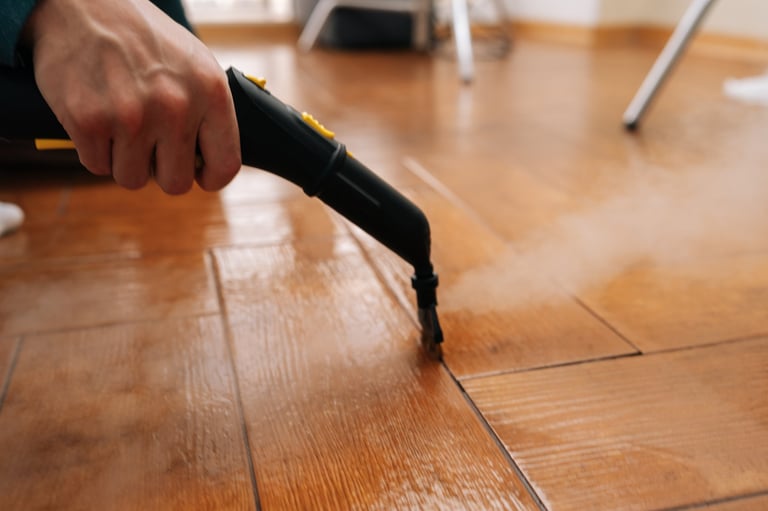 Steam cleaning service